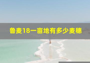 鲁麦18一亩地有多少麦穗