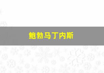 鲍勃马丁内斯