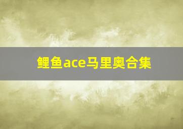 鲤鱼ace马里奥合集