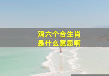 鸡六个合生肖是什么意思啊