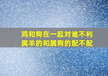 鸡和狗在一起对谁不利属羊的和属狗的配不配