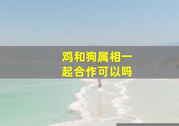 鸡和狗属相一起合作可以吗