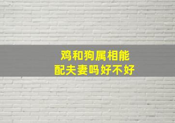 鸡和狗属相能配夫妻吗好不好