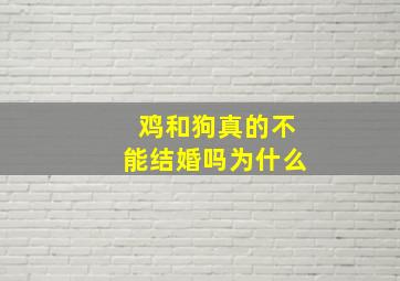 鸡和狗真的不能结婚吗为什么