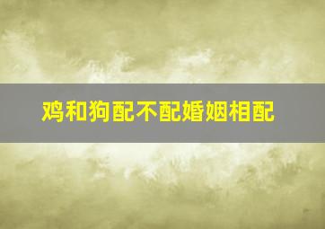 鸡和狗配不配婚姻相配