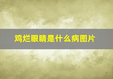 鸡烂眼睛是什么病图片