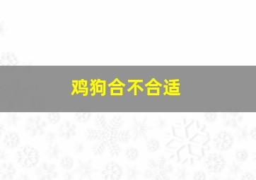 鸡狗合不合适