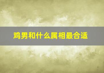 鸡男和什么属相最合适