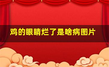 鸡的眼睛烂了是啥病图片