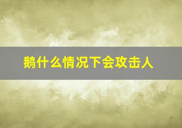 鹅什么情况下会攻击人