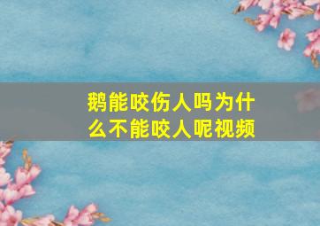 鹅能咬伤人吗为什么不能咬人呢视频