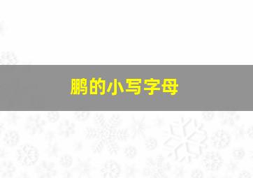 鹏的小写字母