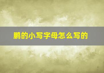 鹏的小写字母怎么写的