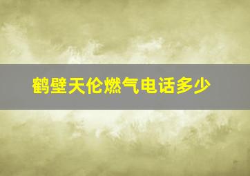 鹤壁天伦燃气电话多少