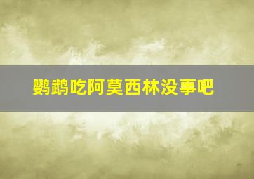 鹦鹉吃阿莫西林没事吧