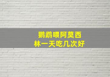 鹦鹉喂阿莫西林一天吃几次好