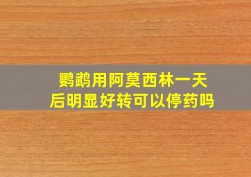 鹦鹉用阿莫西林一天后明显好转可以停药吗