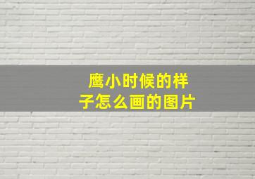 鹰小时候的样子怎么画的图片