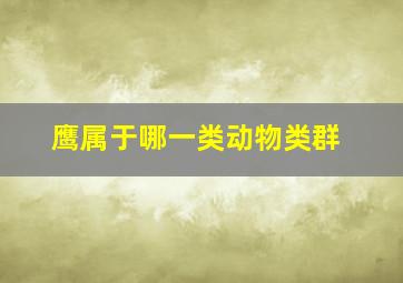 鹰属于哪一类动物类群