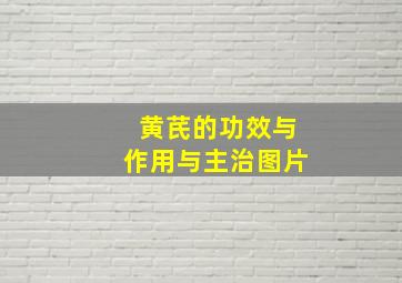 黄芪的功效与作用与主治图片