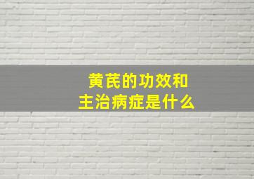 黄芪的功效和主治病症是什么