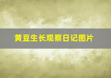 黄豆生长观察日记图片