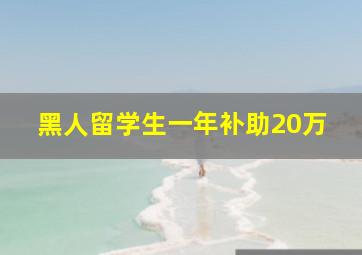 黑人留学生一年补助20万