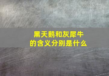 黑天鹅和灰犀牛的含义分别是什么