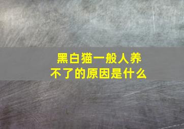 黑白猫一般人养不了的原因是什么