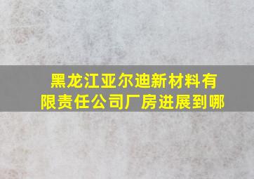 黑龙江亚尔迪新材料有限责任公司厂房进展到哪