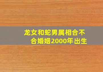 龙女和蛇男属相合不合婚姻2000年出生