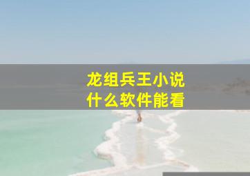 龙组兵王小说什么软件能看